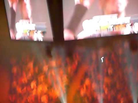 dunk Just Fly ASG 08 bis