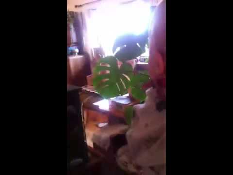 Geburtstag Sophie 2013