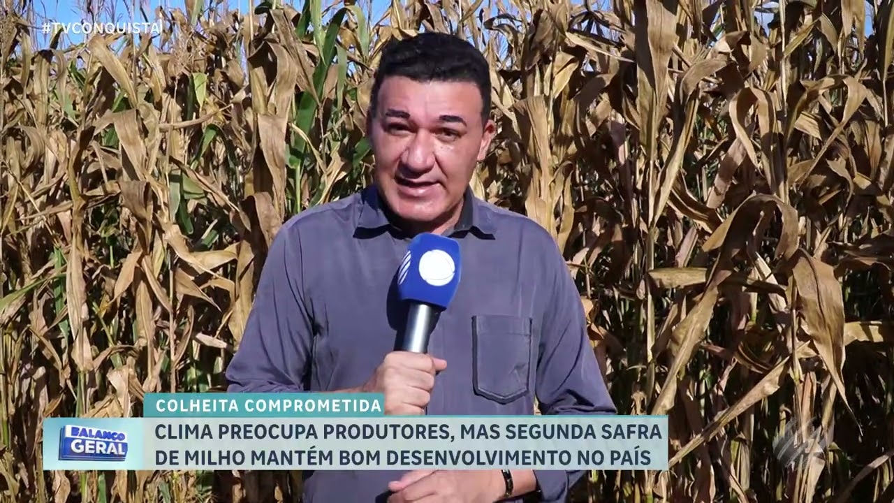 Clima instável preocupa produtores durante avanço da segunda safra de milho