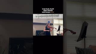 Download lagu Elgar In the South Violin Excerpt with bowings & fingerings 🎻 #shorts #orchestra #orchestralexcerpt mp3