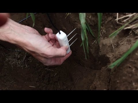 sensors