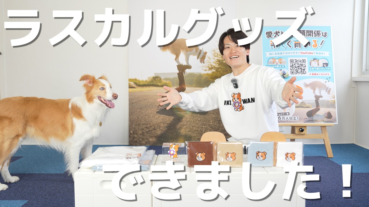 【全４種】ラスカルグッズできました！インターペット東京でお待ちしています