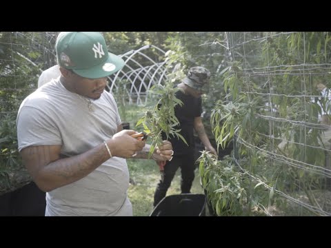 REED, HUNNALOE & SLY C - "THE ROPES" **SRH**