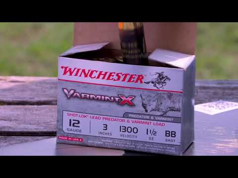 How to Set-Up Your Shotgun to Take Turkey, Coyote and Pig on the Same Trip by Melissa Bachman