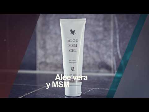 FLP Spain Product Intro - Forever Aloe MSM Gel - Ref 205