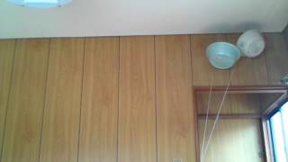 毎週土曜日の雑談動画ドリフドッキリ