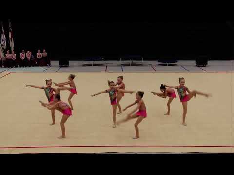 Pinkur Libra 1. Steypakapping í estetiskum fimleiki 2021