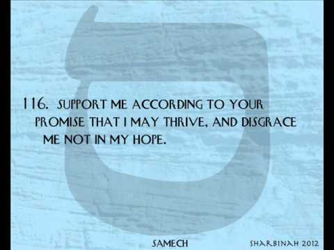 Psalm 119 ~ Samech ~ 113 - 120