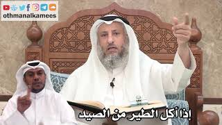 84 - إذا أكل الطير من الصيد - عثمان الخميس
