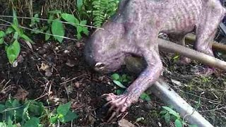 GOLLUM CREATURE RECOVERED