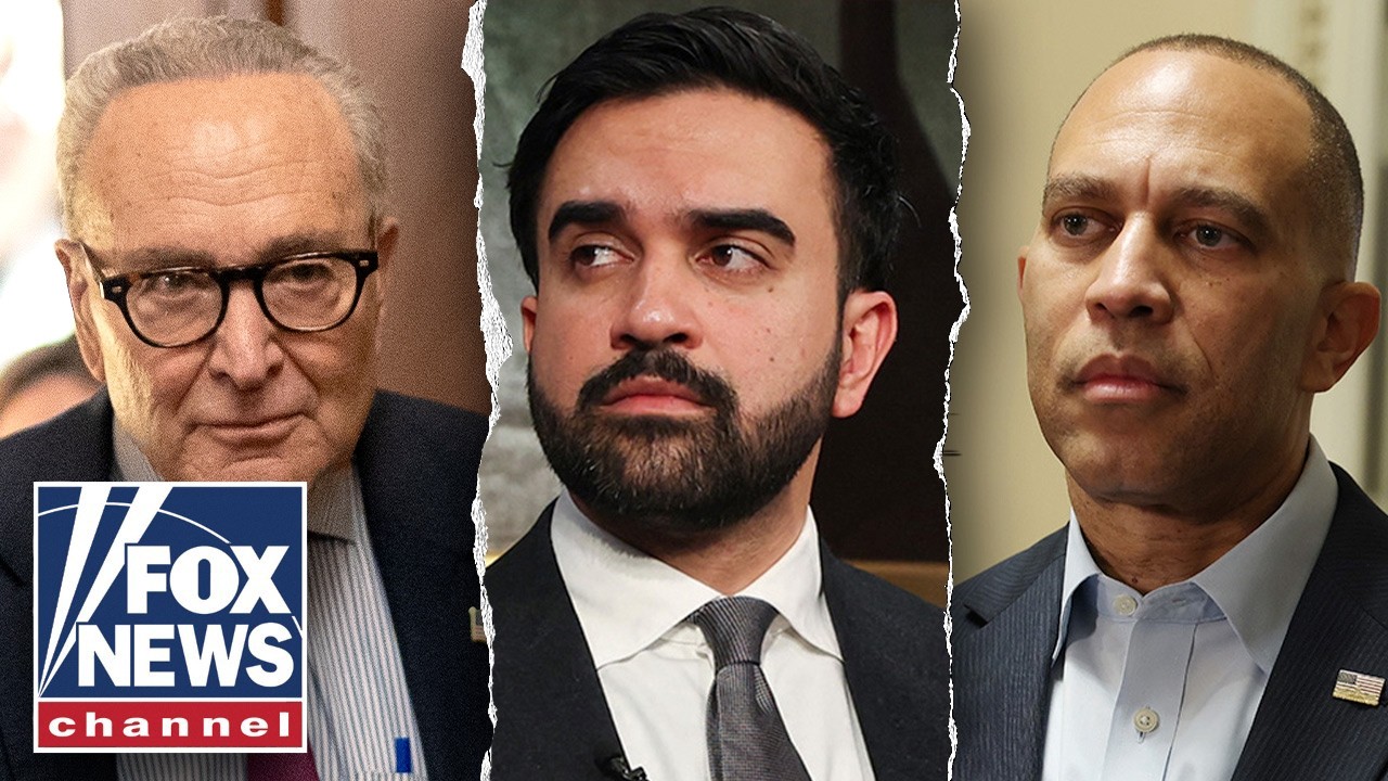 Socialist surge EXPOSED for TEARING Dems apart