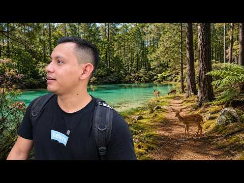 Encontré un Paraíso con Venados en Guatemala ¿Por qué nadie viene?