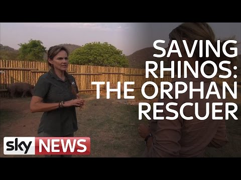 Rhino Wars: Meet The Orphan Rescuer