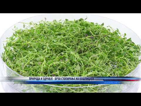 ПРИРОДА И ЗДРАВЈЕ   БРЗО СТОПИРАЊЕ НА КАШЛИЦАТА  04 04 2020