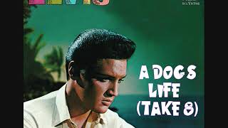 Elvis Presley - A Dogs Life (Take 8)