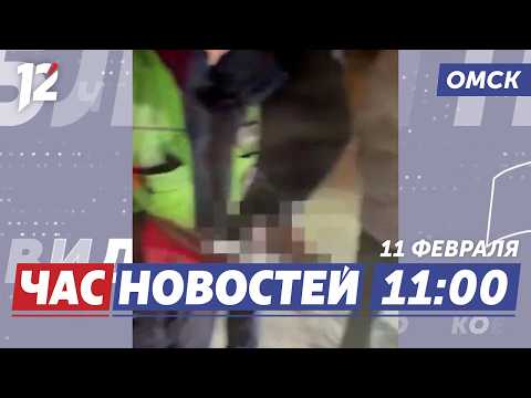 Подделали водительские права / Снежный десант / Царица Арктики. Новости Омска