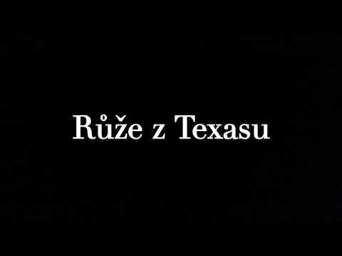 Růže z Texasu