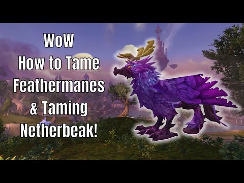 WoW How to Tame Feathermanes & Taming Netherbeak