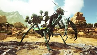 Dream - Giant Praying Mantis