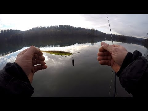 Auf Hecht und Barsch mit dem Jika Rig oder Jig Rig (HD)