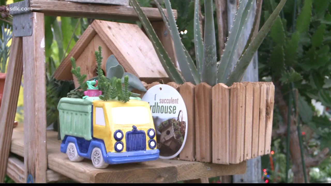 How to keep your plants alive until spring