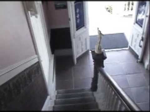 Marrero's Guest Mansion Video 1