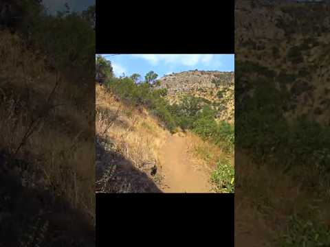 ¡Trekking y Vistas de Infarto! 🏔️ Explora Santiago con nosotros