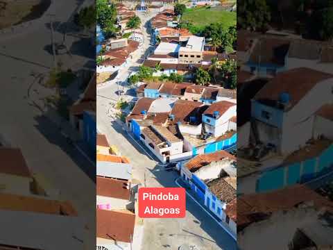 Você sabe qual a menor cidade de Alagoas??  É Pindoba! #alagoas #cidades #entretenimento #nordeste