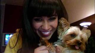 Cassie steele - pavement