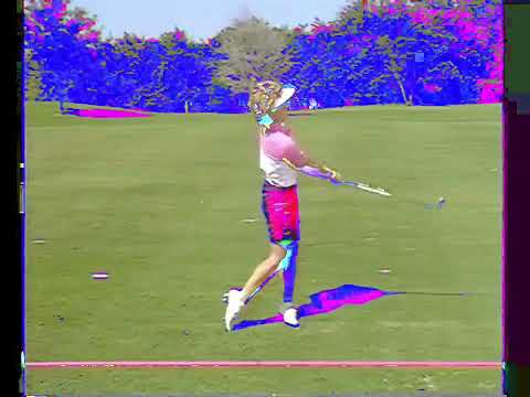 25 Dollar Massacre - Moby Dick