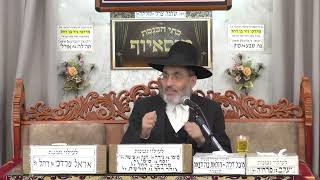 הרב פנחס רז | הלכה והשקפה | מוסאיוף (בית הכנסת מוסאיוף) - התמונה מוצגת ישירות מתוך אתר האינטרנט יוטיוב. זכויות היוצרים בתמונה שייכות ליוצרה. קישור קרדיט למקור התוכן נמצא בתוך דף הסרטון