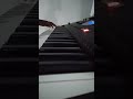 Allan Yanna Bari Athak Cover By Thinuka