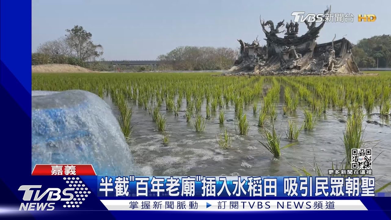 奇景!「半截老廟」深埋田中央 竟是200年前清朝遺址