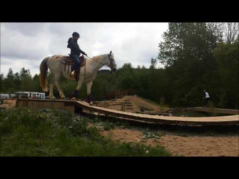 Extreme Trail Pferd vs. Bike