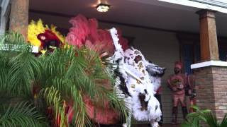 Congo Nation - Mardi Gras Indians, "My Indian Red"