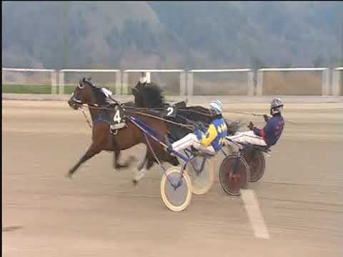 Trotto 20/02/2019 - 5ª corsa