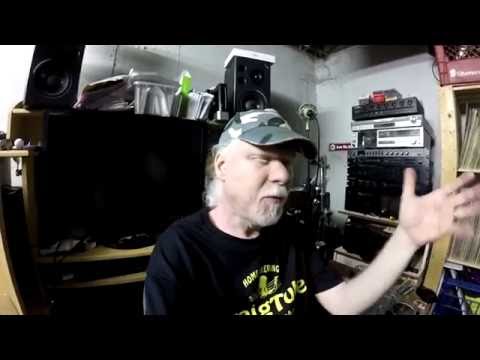 HBW 232 - Fruit Fly Catcher