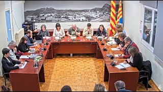 Ple ordinari de 29 de gener de 2026