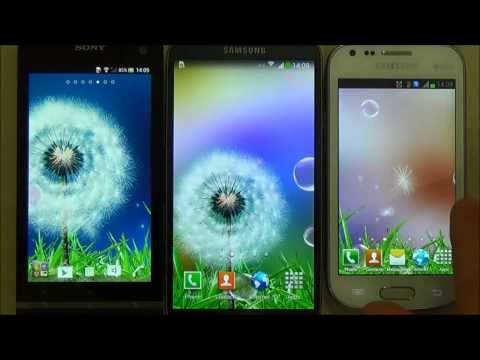 Dandelion Live Wallpaper Video