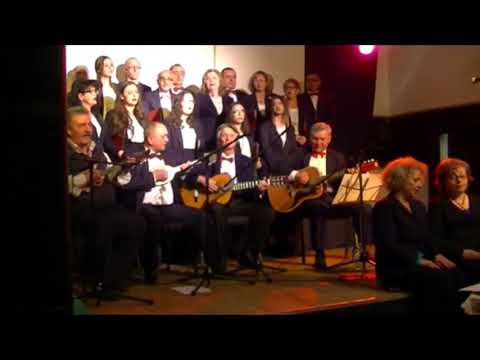 Novogodisen koncert 2017/2018 - Cukni vo drvo - Gradski hor Stip