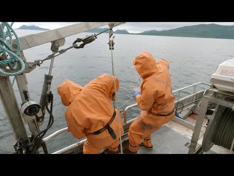 Halibut fishing in Alitak Bay - Part 2