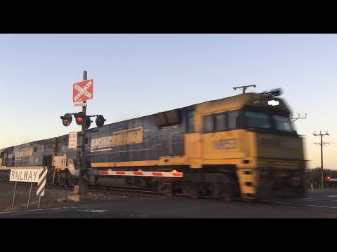 Pacific National 1PM6 NR53 NR99 pass King Road, Virginia