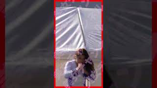 #S786【diana様！】 #shorts #チア #美女 #チアリーダー #diana