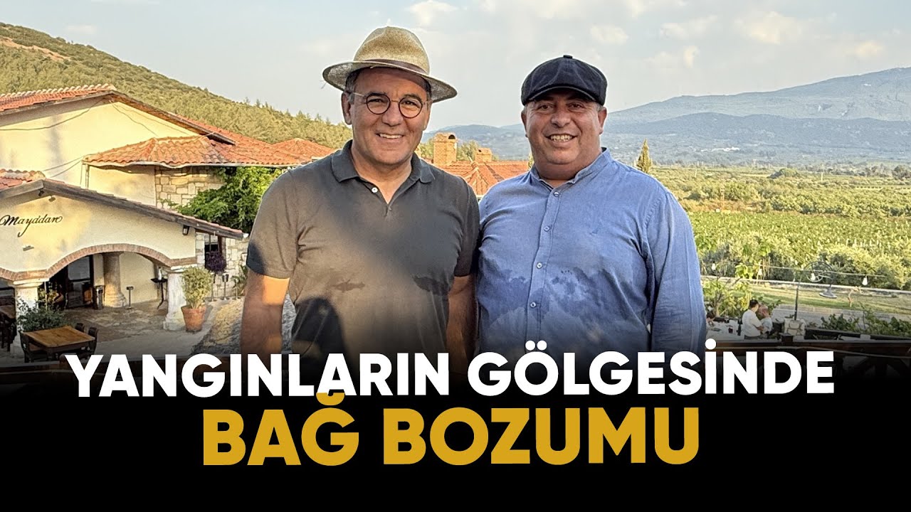 Yangınların gölgesinde bağ bozumu | Bilgece Sohbetler Bölüm 14 | Bilge Yamen - Deniz Zeyrek