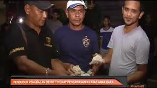 Download lagu Viral,, ganggu anak dara, orang minyak di kelantan mp3