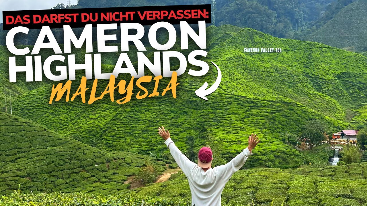 CAMERON HIGHLANDS Malaysia Highlights & Tips for a Malaysia Tour 2023