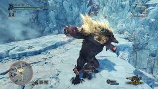 [MHWI] 普通激昂金獅-5分45秒大槌心得