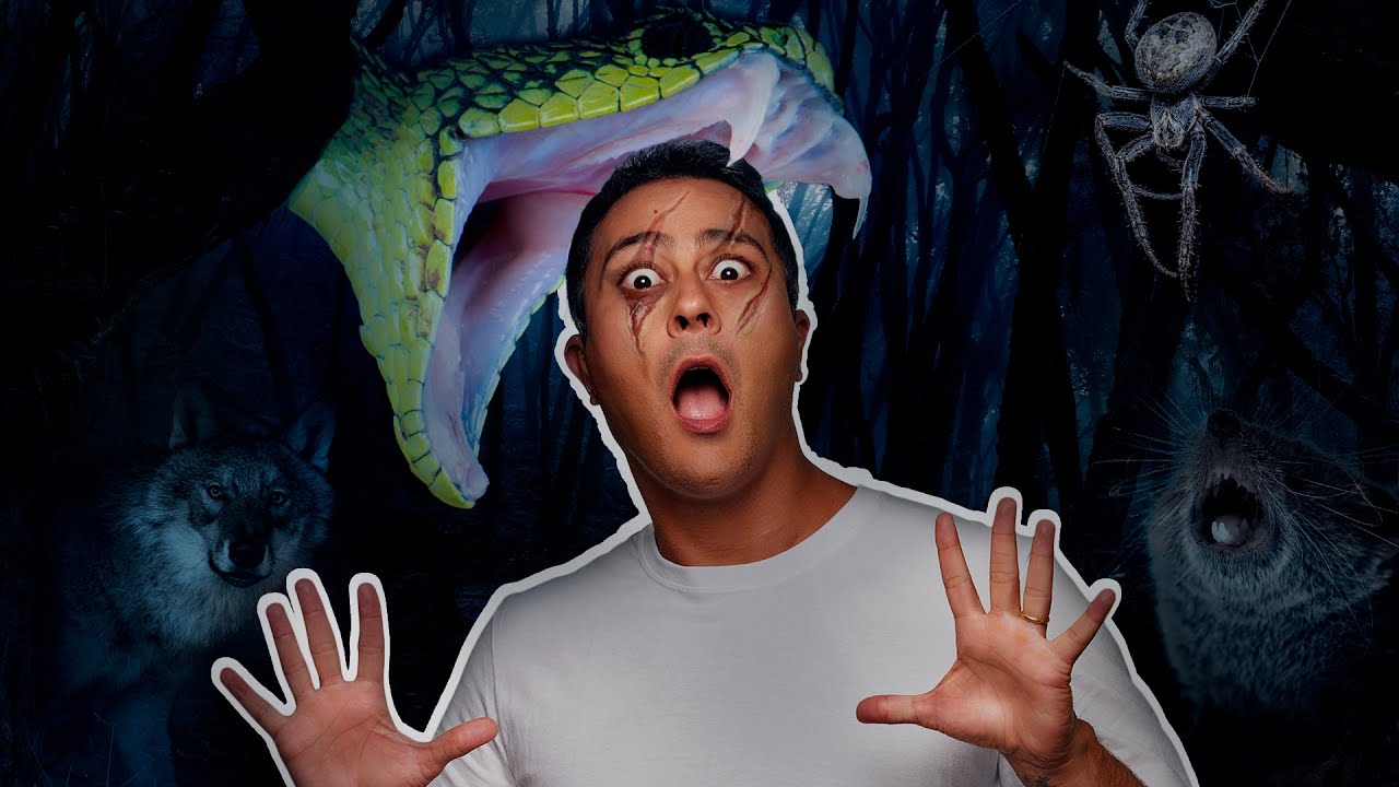 Os 7 PREDADORES mais VORAZES do mundo