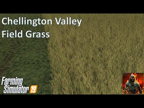 Chellington Valley - Field grass