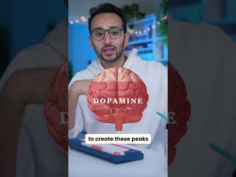 How Dopamine Actually Works 🧠